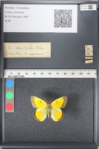 Media type: image;   Entomology 123976